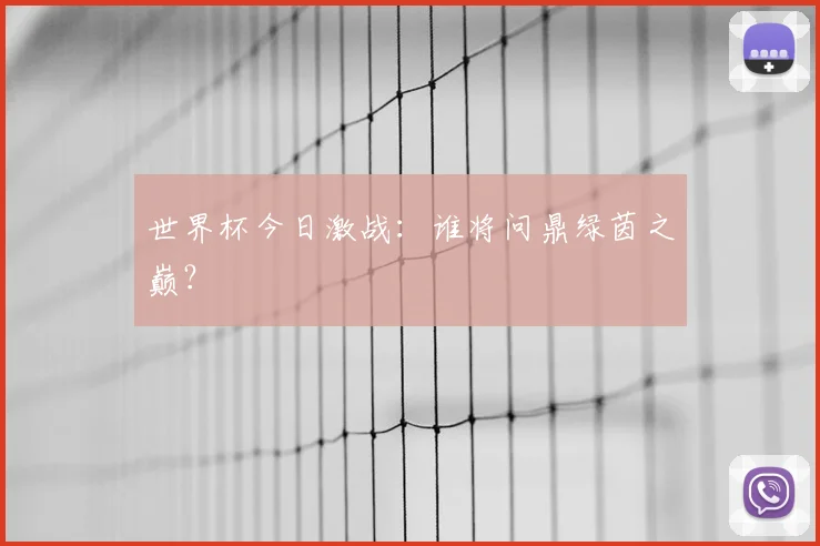 世界杯今日激战：谁将问鼎绿茵之巅？