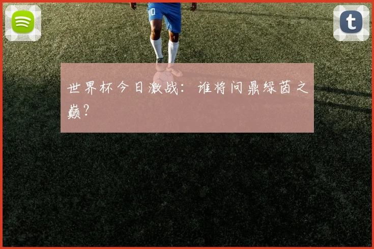 世界杯今日激战：谁将问鼎绿茵之巅？